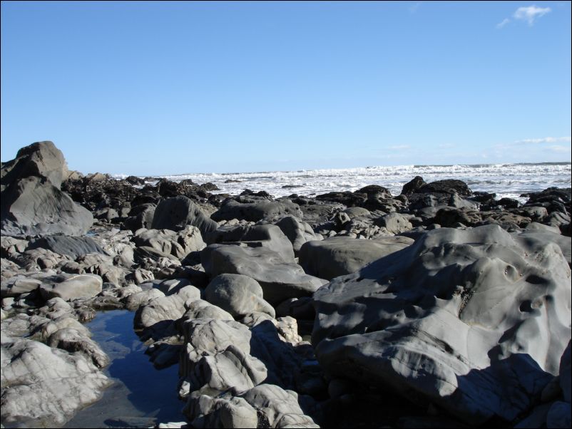 DSC01337_westcoast nach westport